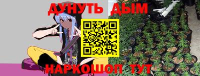 гашик Славгород