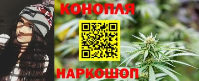 гашик Славгород