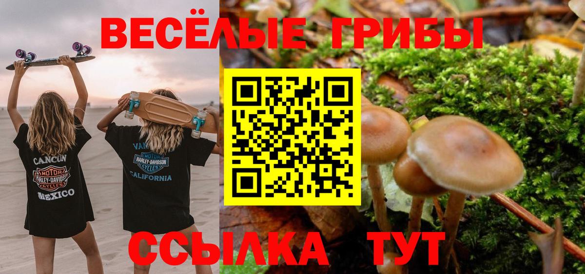Псилоцибиновые грибы GOLDEN TEACHER  Вход с VPN  Брянск 